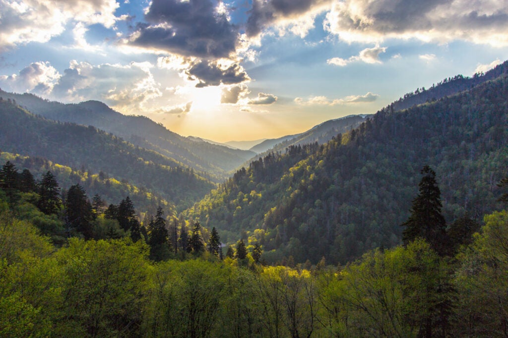 A view down a forested, clear valley