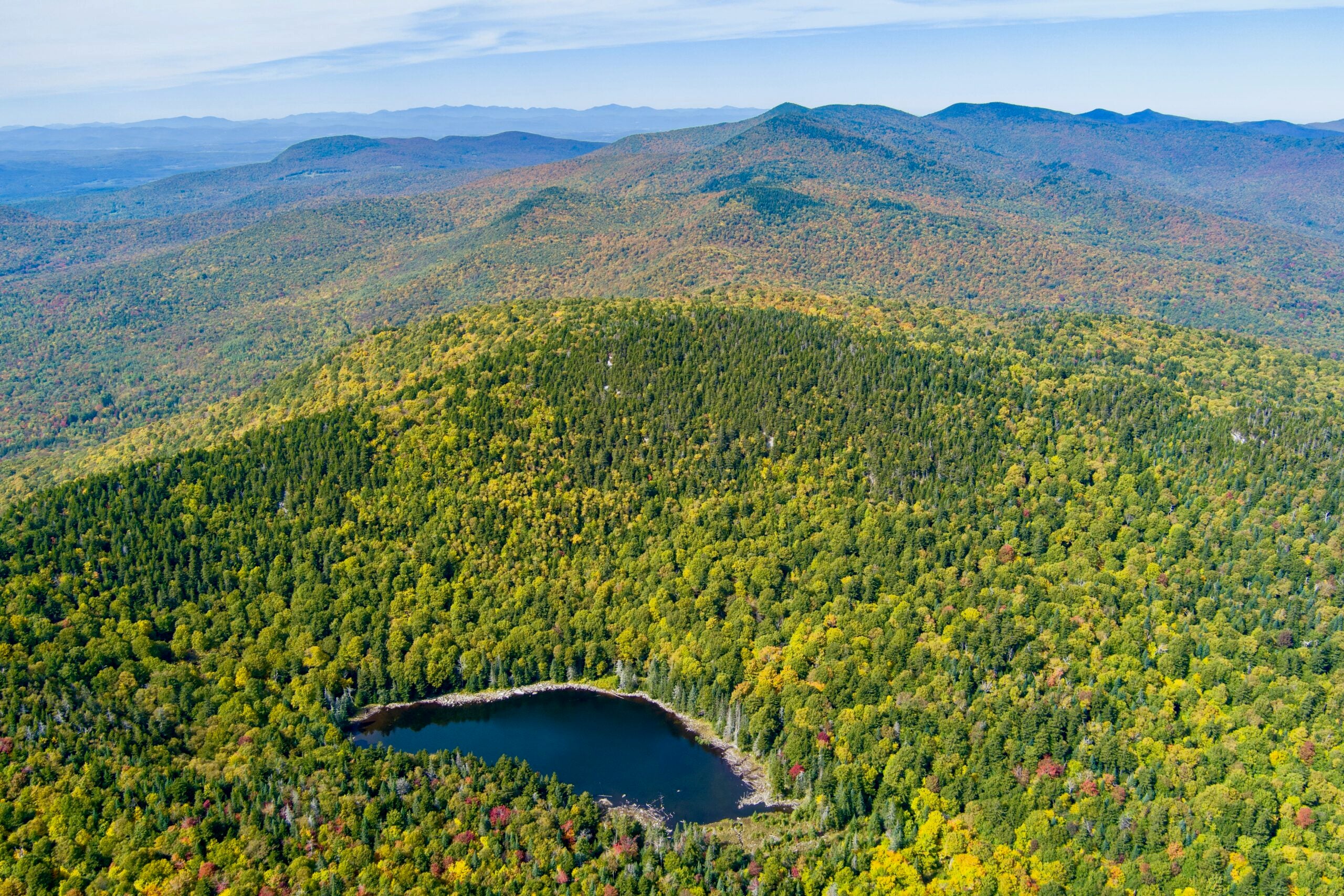 Bird's eye view of a forest with a lake in the middle