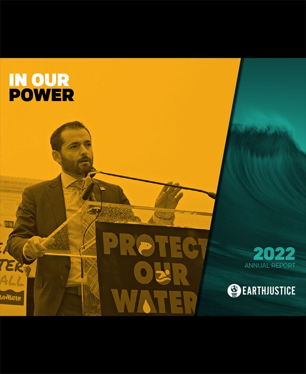 Cover of Earthjustice's 2022 Annual Report.