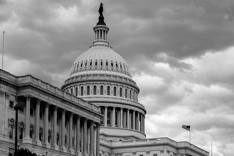 The U.S. Capitol building.