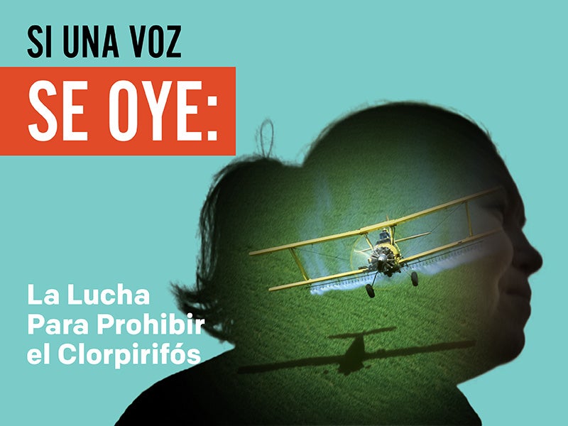 Si una voz se oye: La lucha para prohibir el clorpirifós