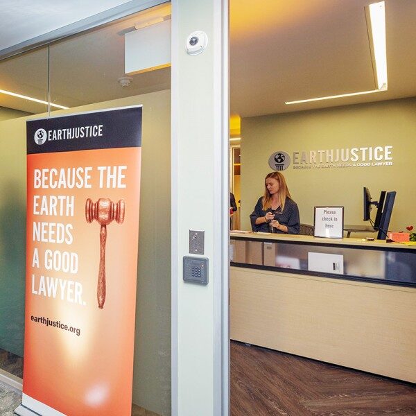 NY_chris-leary-800 Earthjustice's New York office.