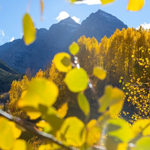 RMO_cjb-800 Fall colors in the Rocky Mountains.
